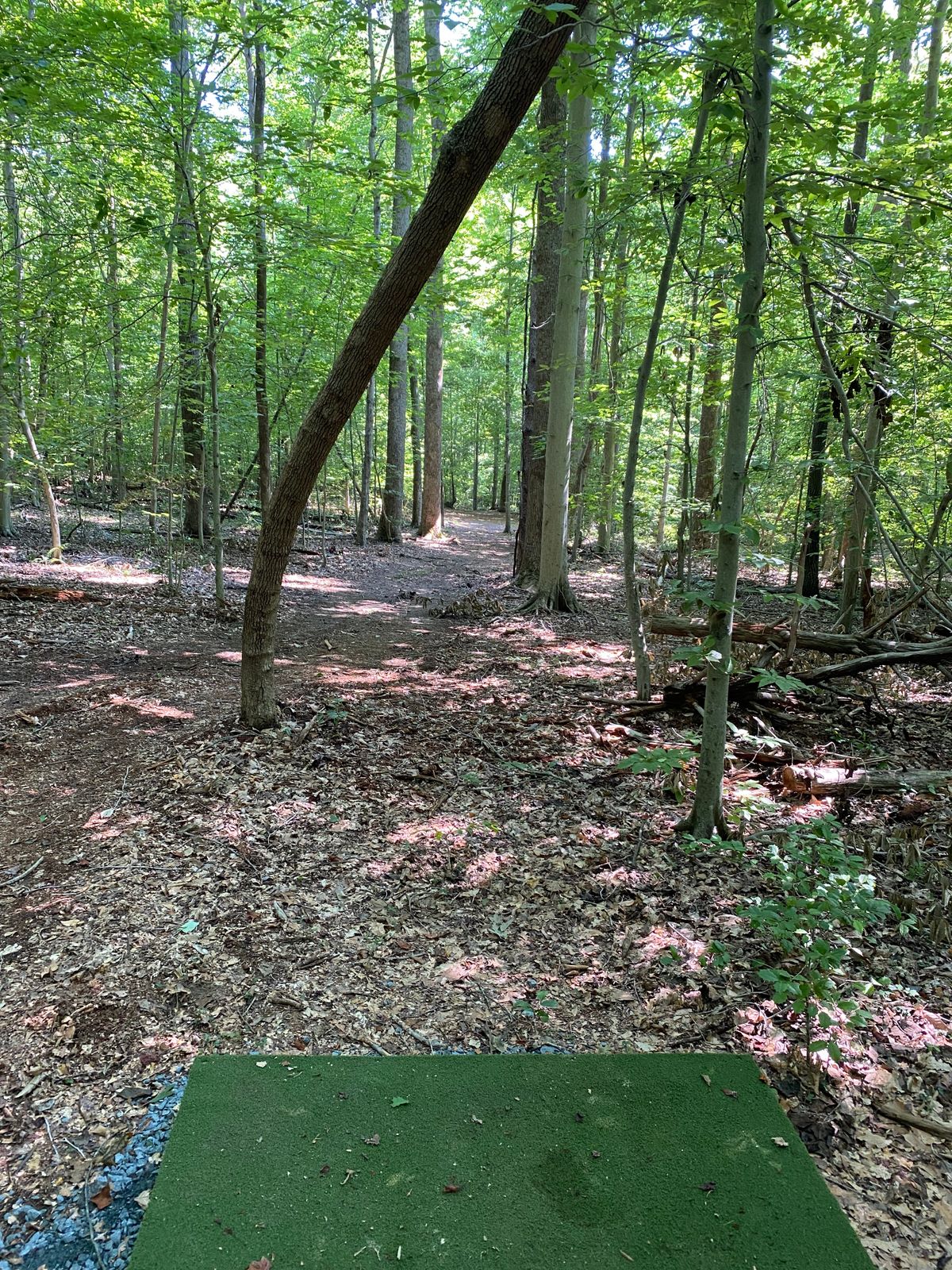 Hole 6 Tee