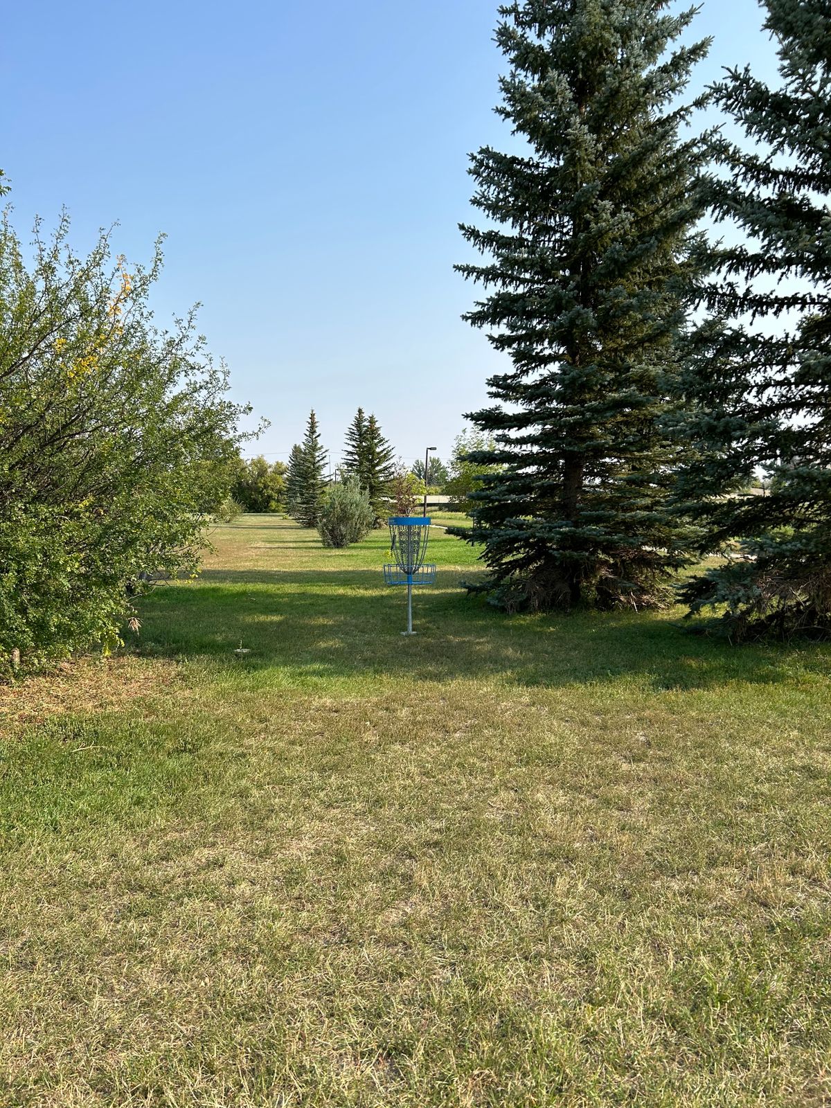 Hole 7