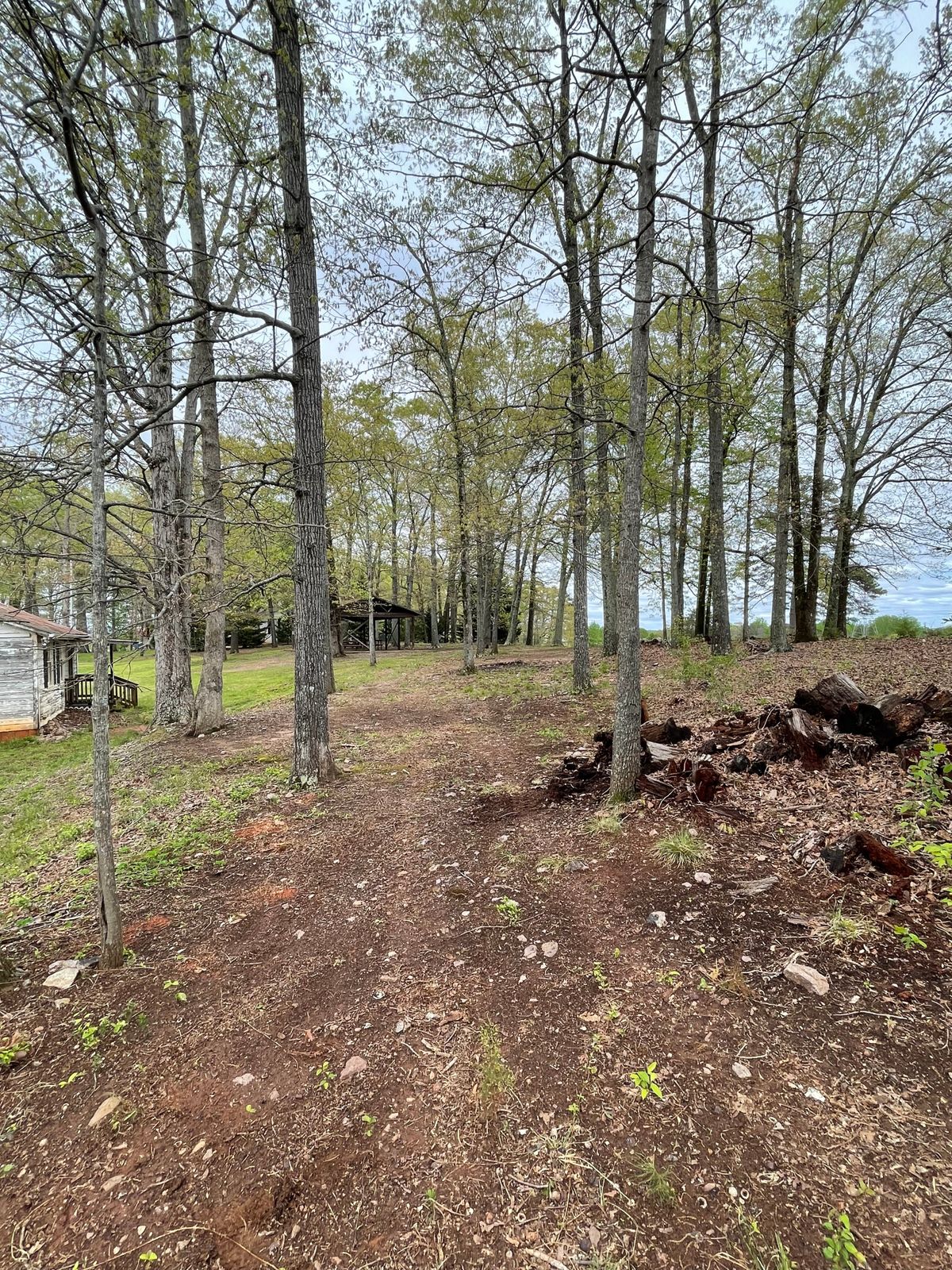 Hole 4 tee area