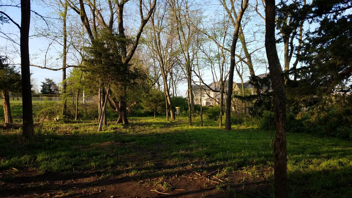 Hole 11