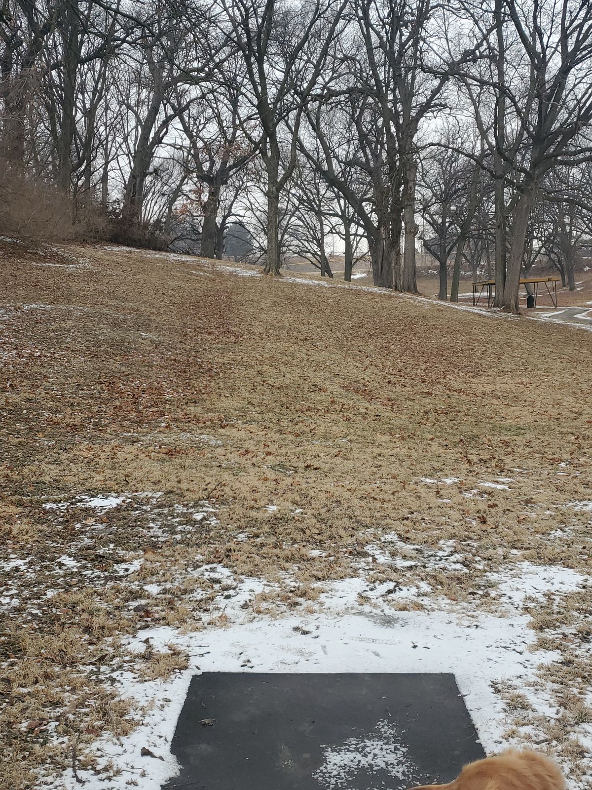 Hole 7