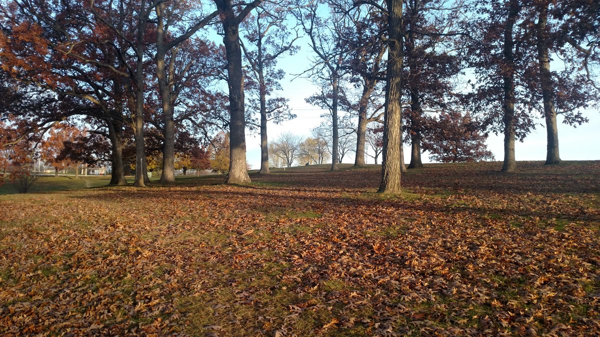 Home#1 Fairway