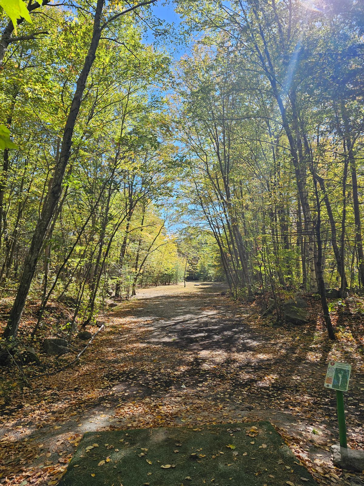 Wooded but open, tee pad 5.