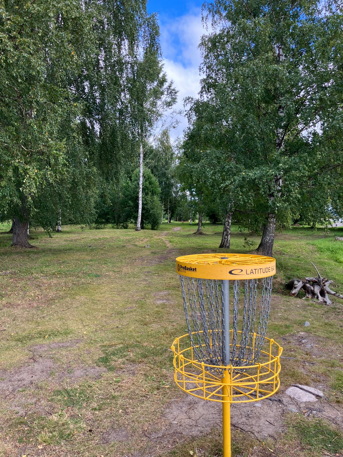 Hål 11, Green