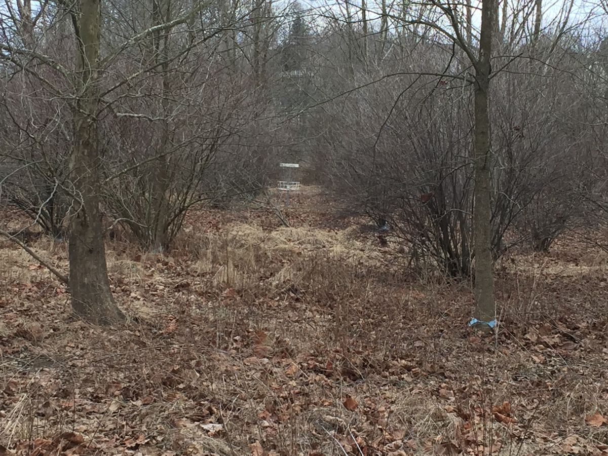 Hole 6 - spike shot