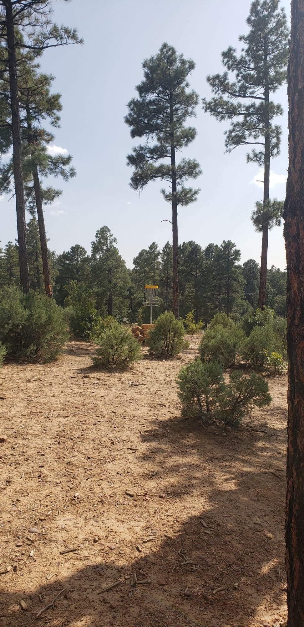 Hole 6