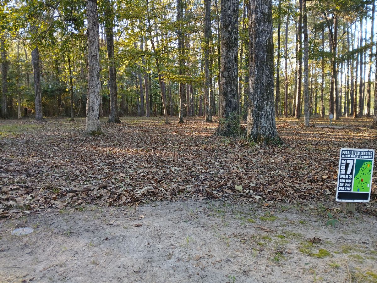 Hole 7 blue tee (long)