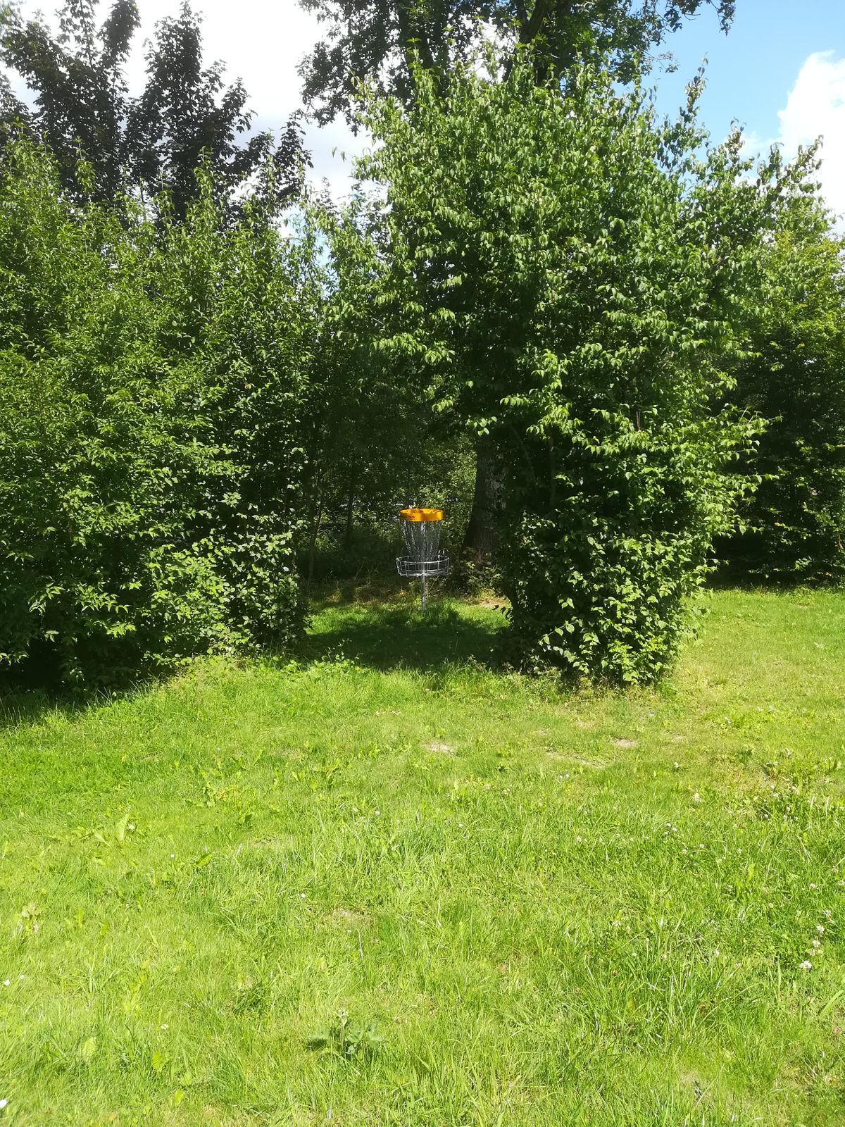 Neue Bahn Nummer 13