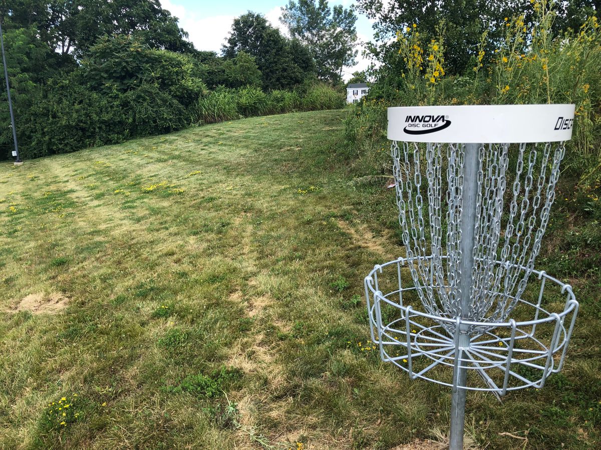 Hole 5 basket