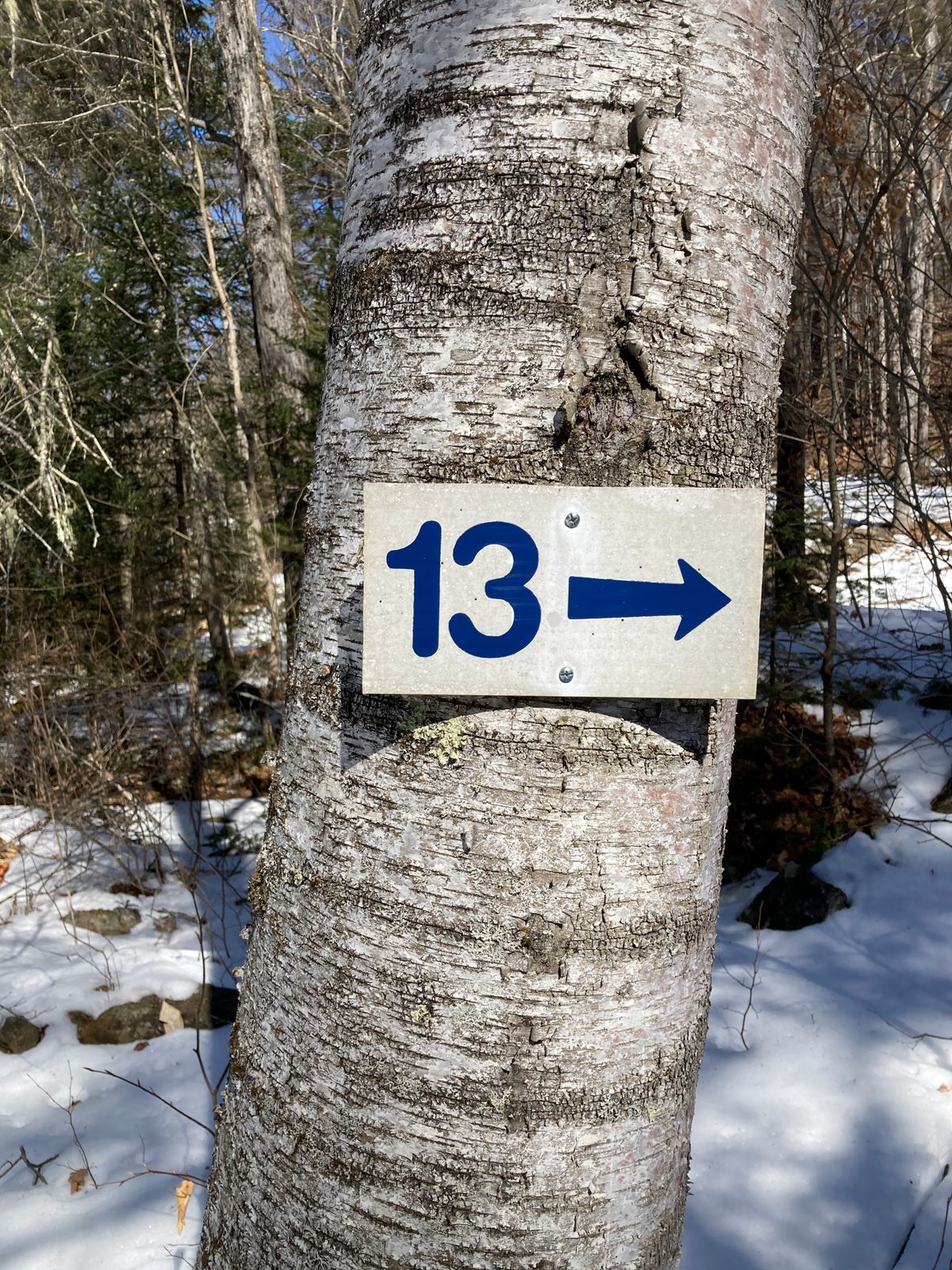 To hole 13!
