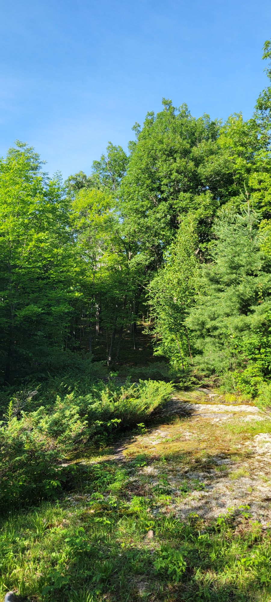 Hole 5 fairway