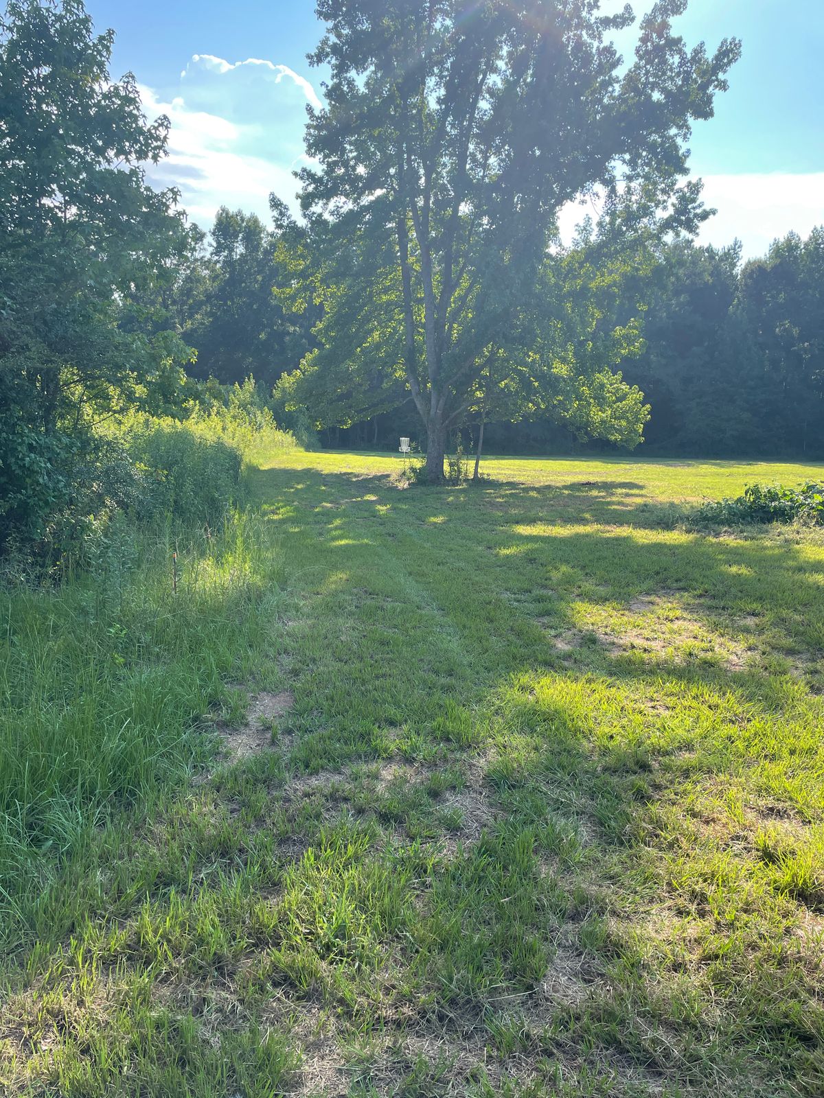 Hole 4