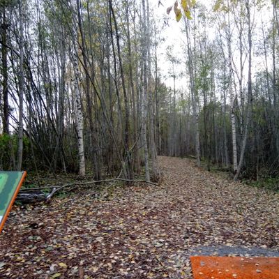 Hole #4 (19.10.2023).