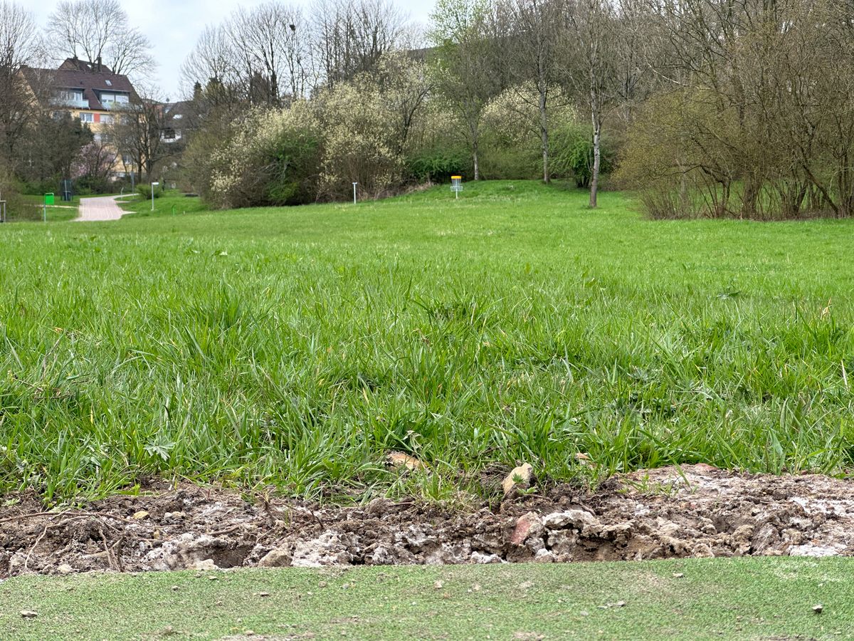 Tee 8
