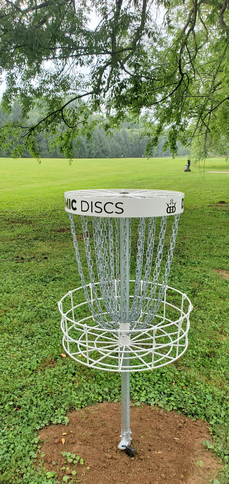 Hole 4 basket looking back at tee