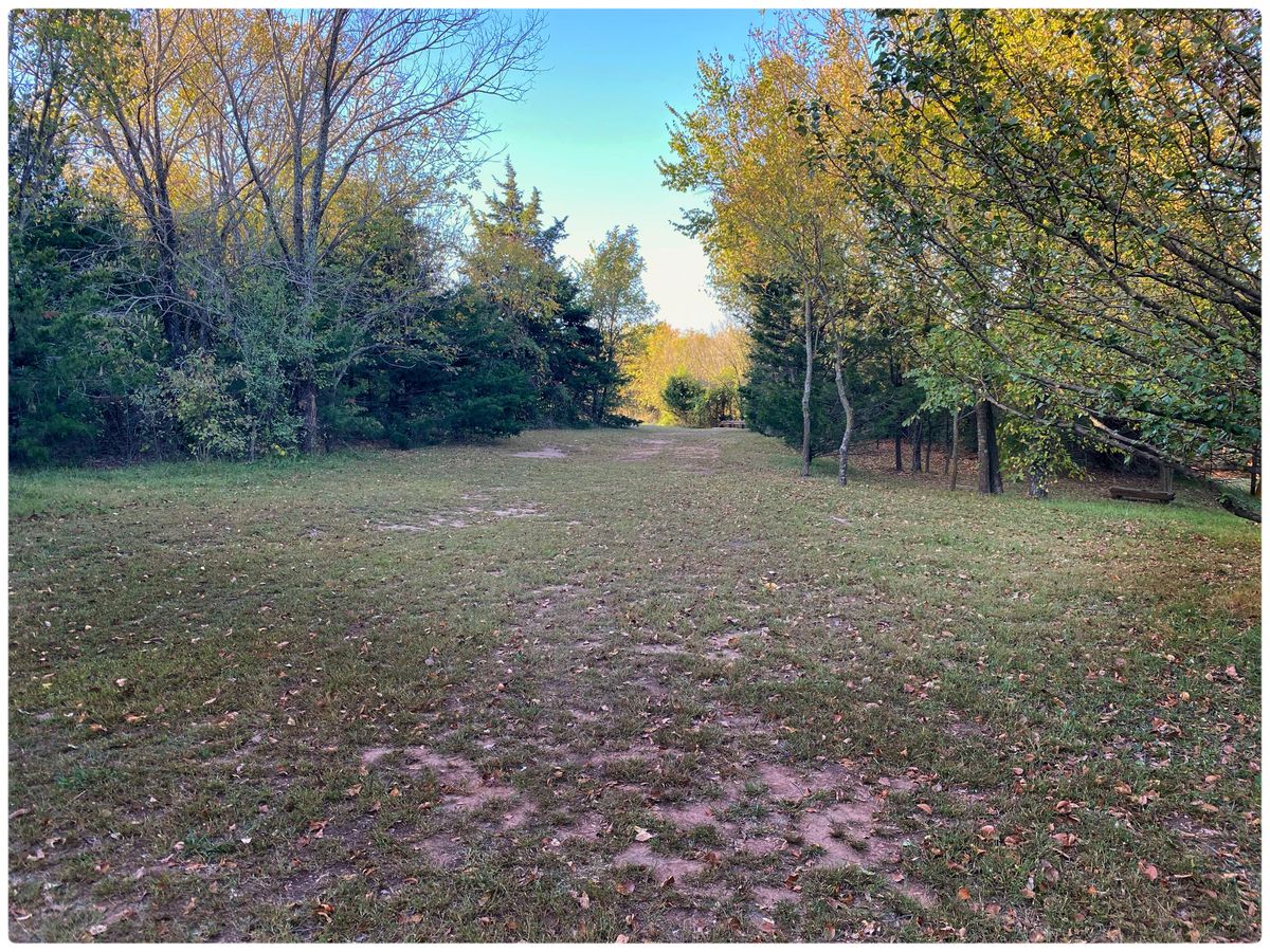 # 6 fairway midway- looking back to Tee