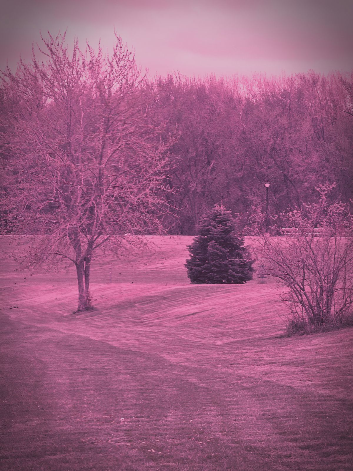 Nice and open, flat with few obstacles.  A quick easy low risk. Short 9 hole.  Par 3 is the typical hole here. Plenty of long Part three's worthy to be aced and told