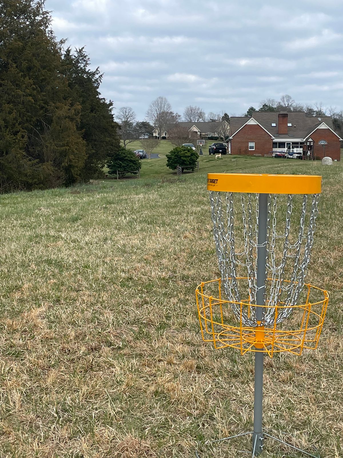 Hole 1’s basket looking back at the tee box. (White flags)