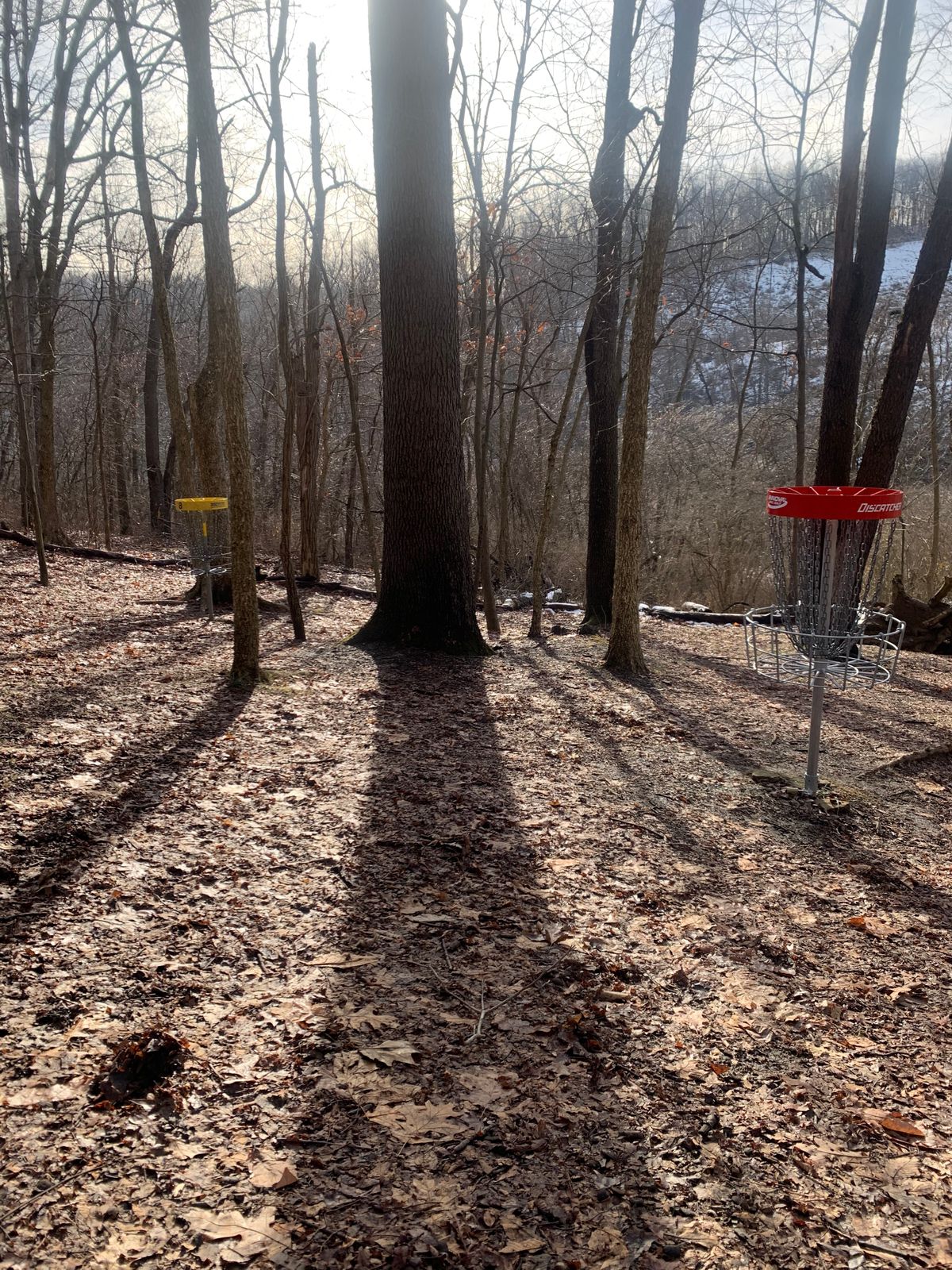 It’s a beautiful day. All the snow has melted and all the leaves are compact.