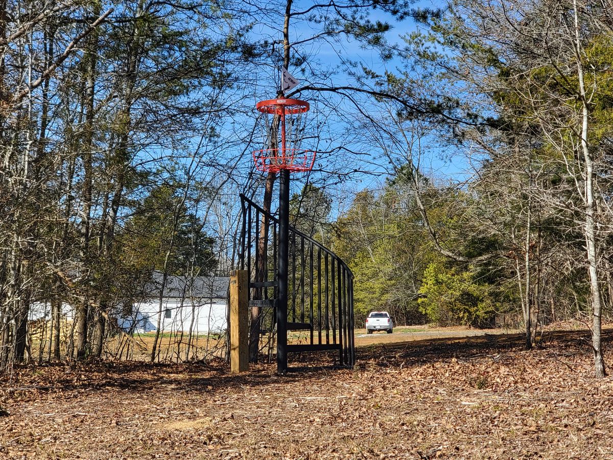 Hole 7 basket