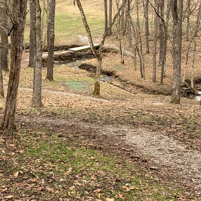 Hole 17 “Y” double mando