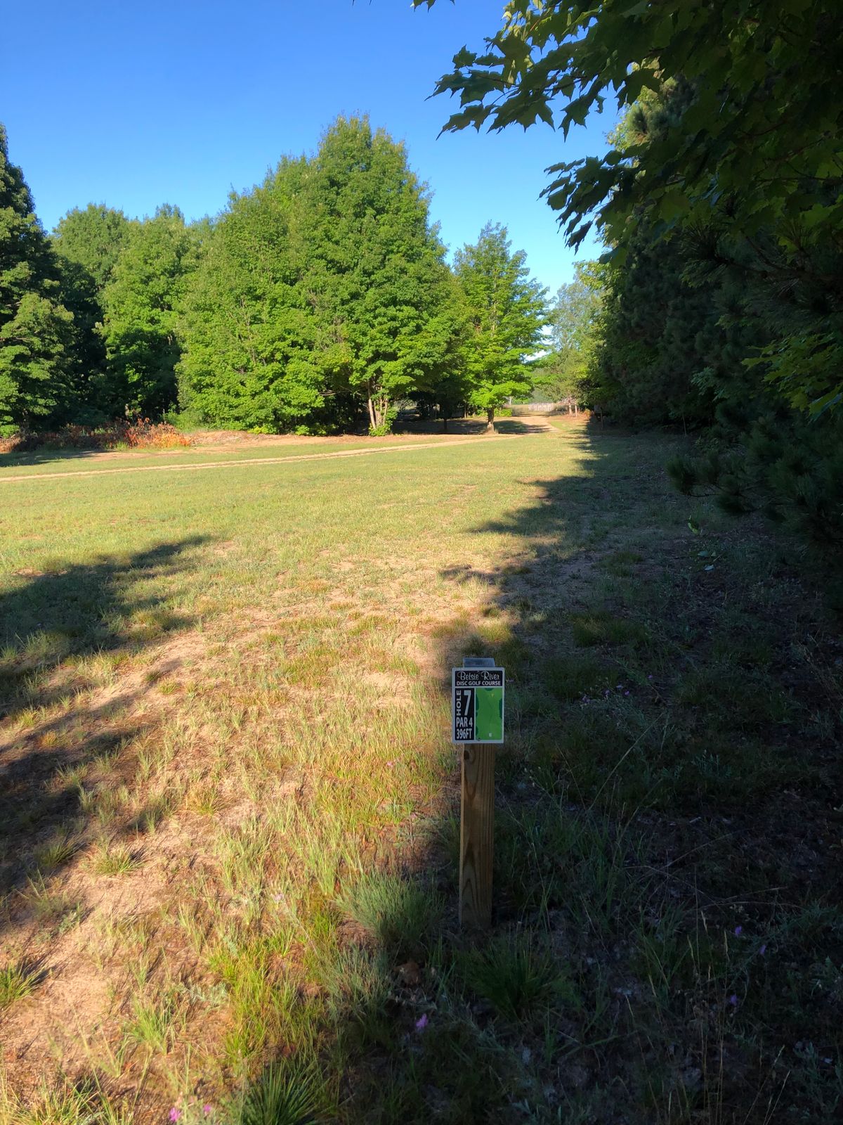 Hole 7