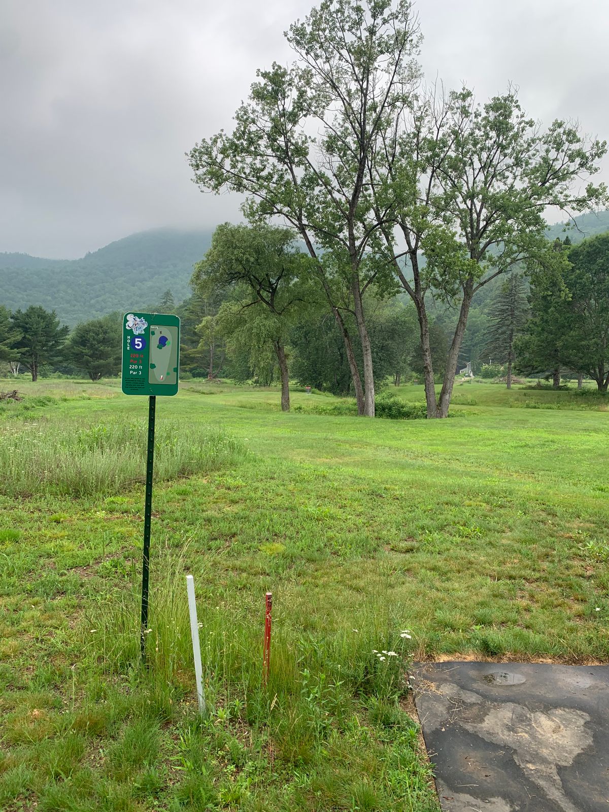Hole 5 
Pond in front with not a lot of space behind the basket