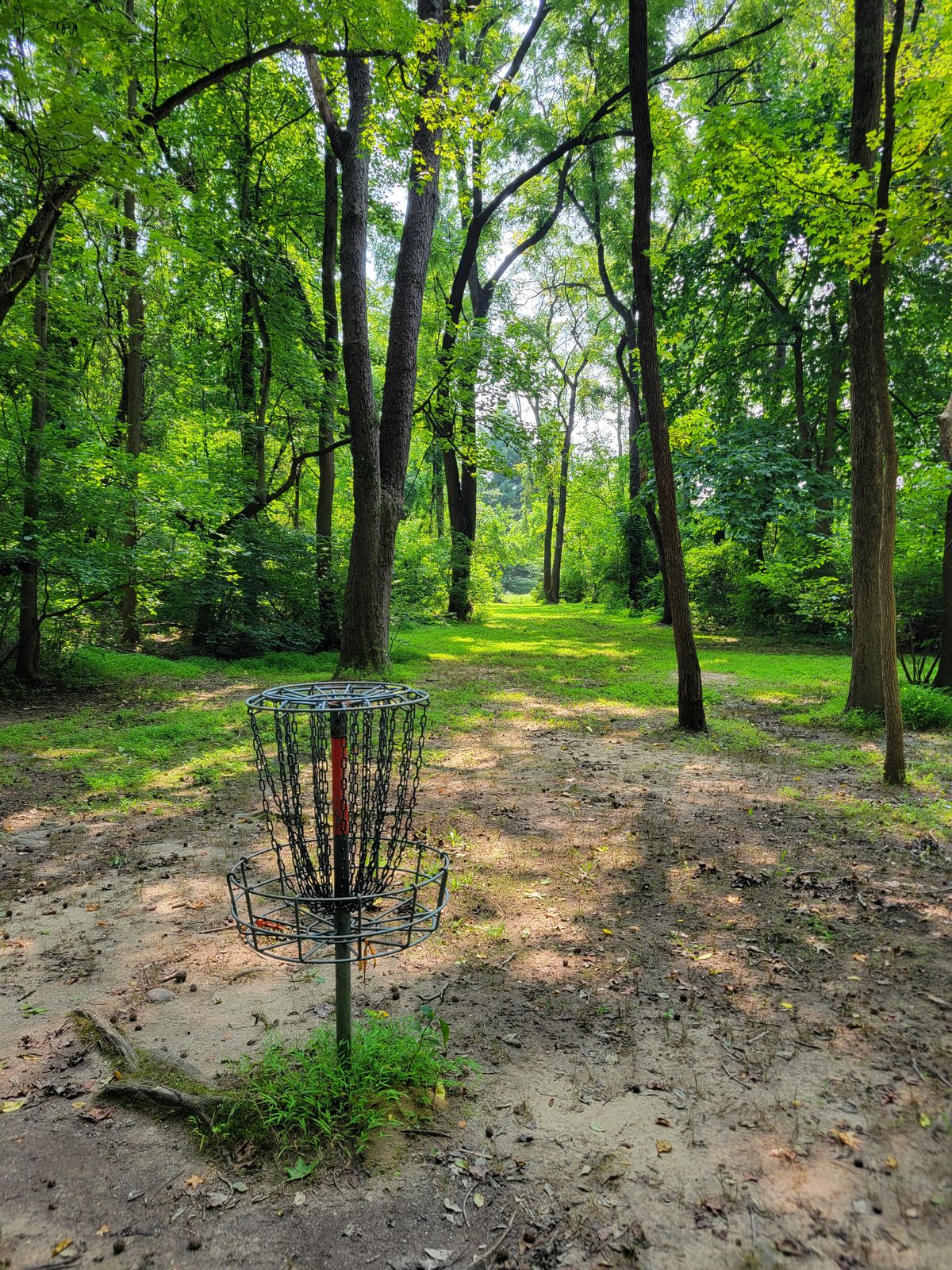 looking back down the fairway.