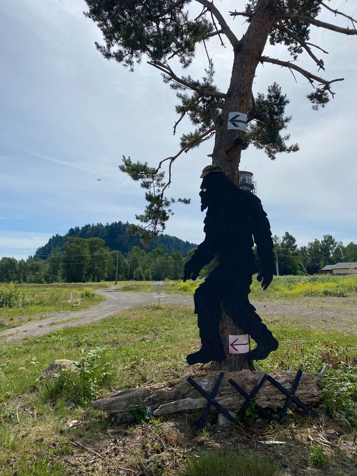 Sasquatch says go left.