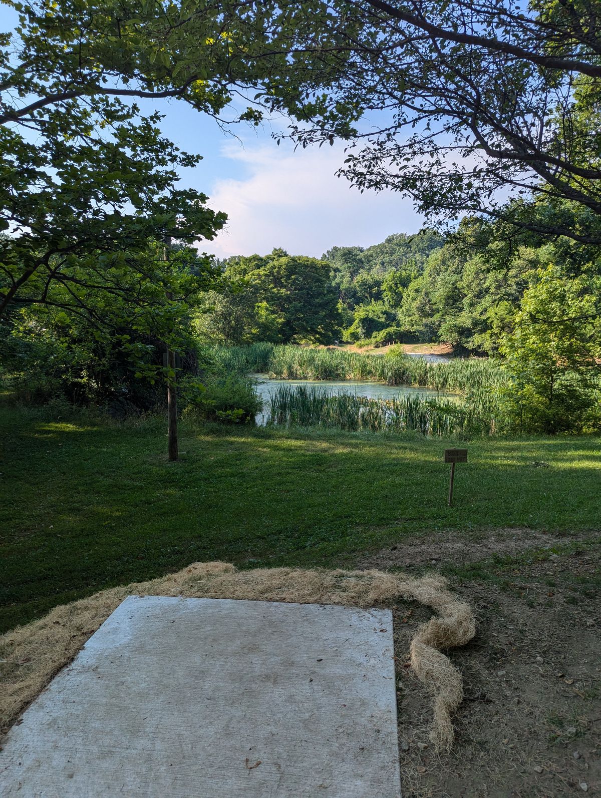 Hole 7.