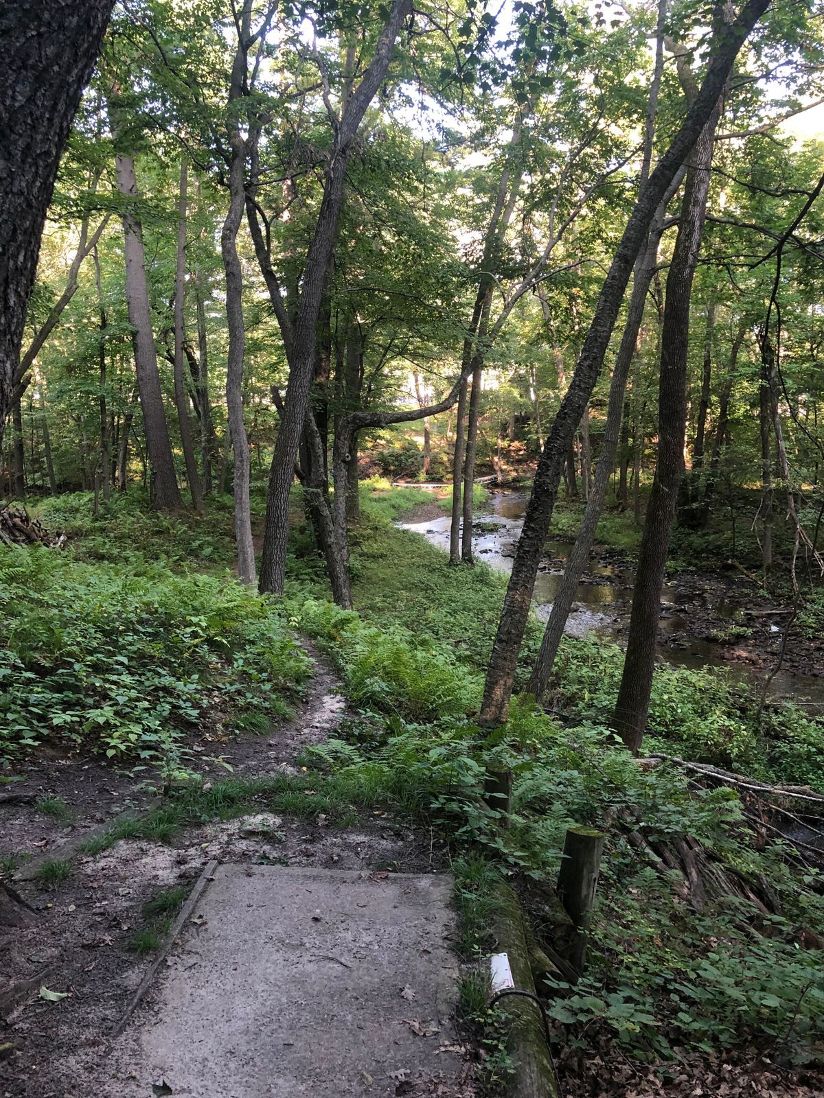 Hole 9 Tee, no sign