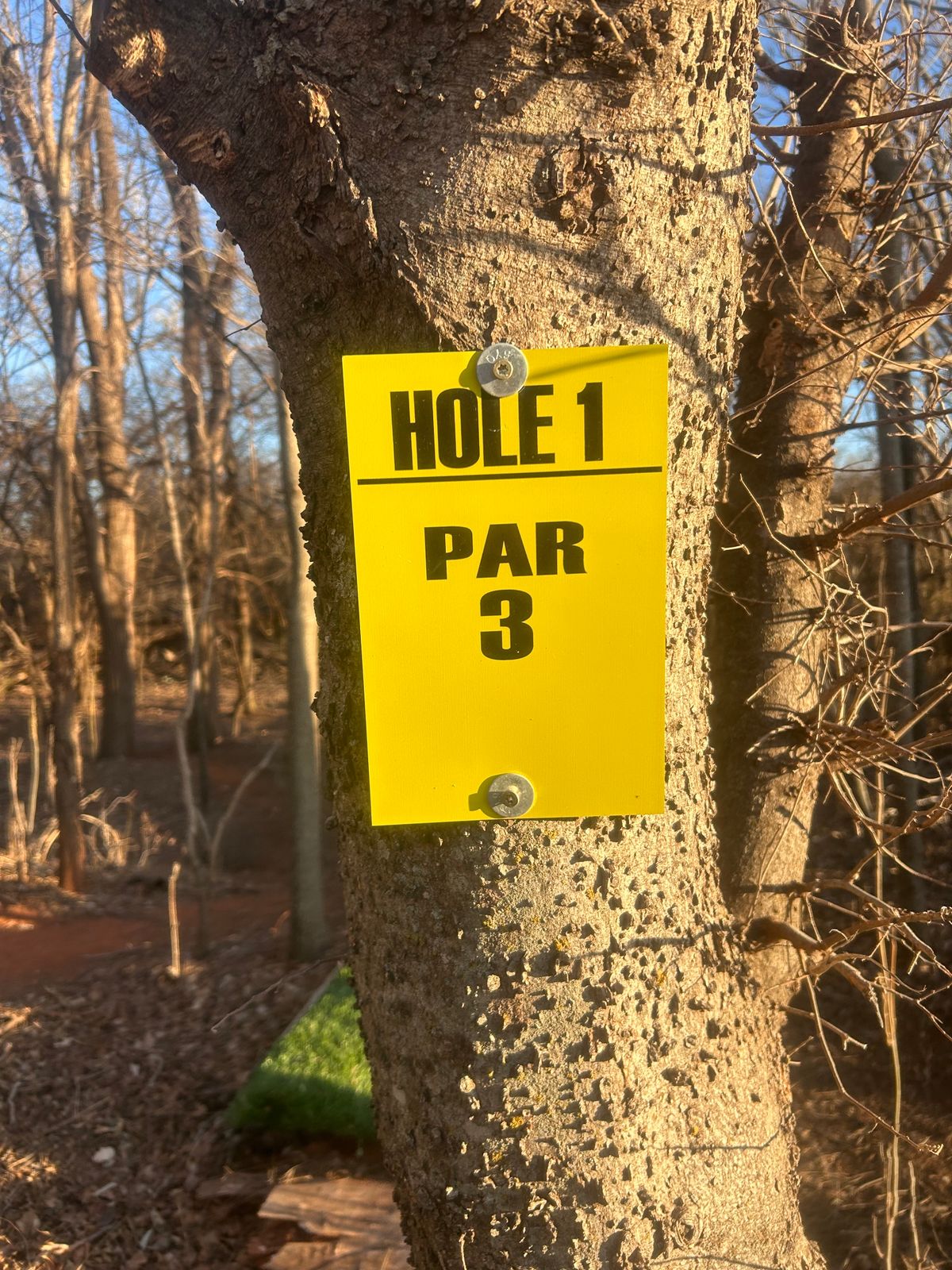 Hole 1 tee sign