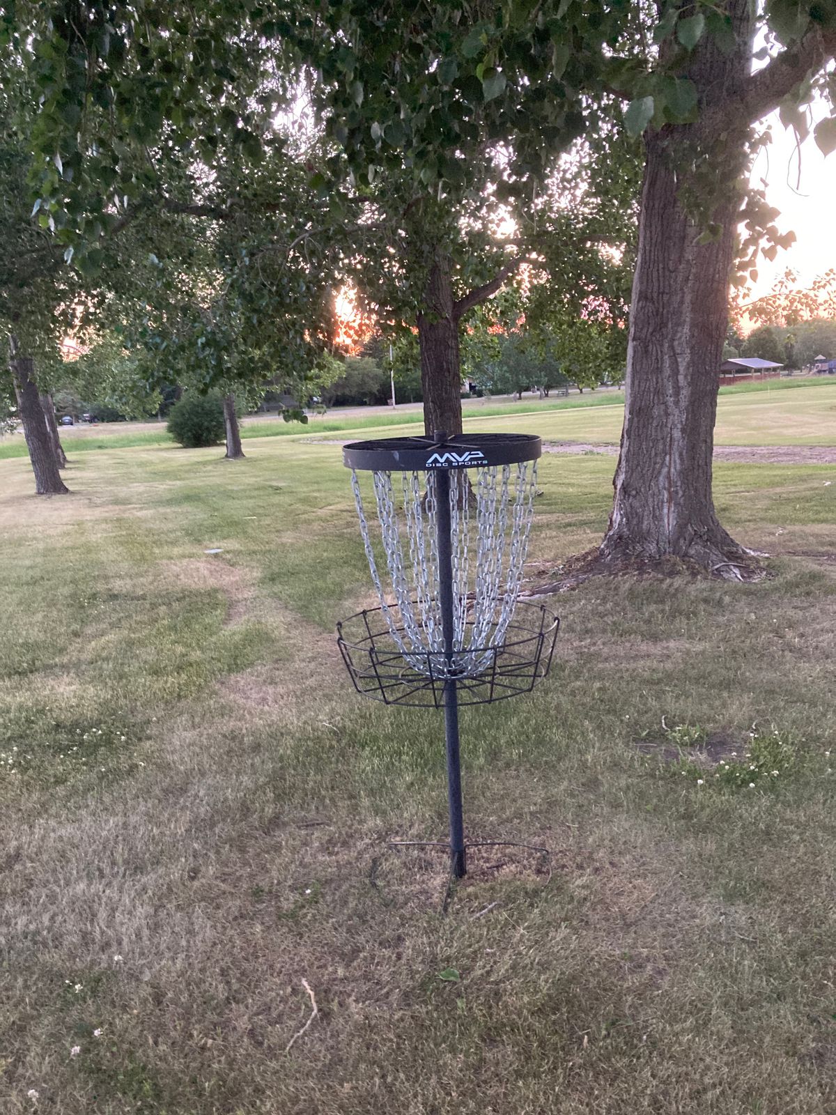 Hole 7 is lined with trees on both sides, and a double mondo over the creek to keep you in them.