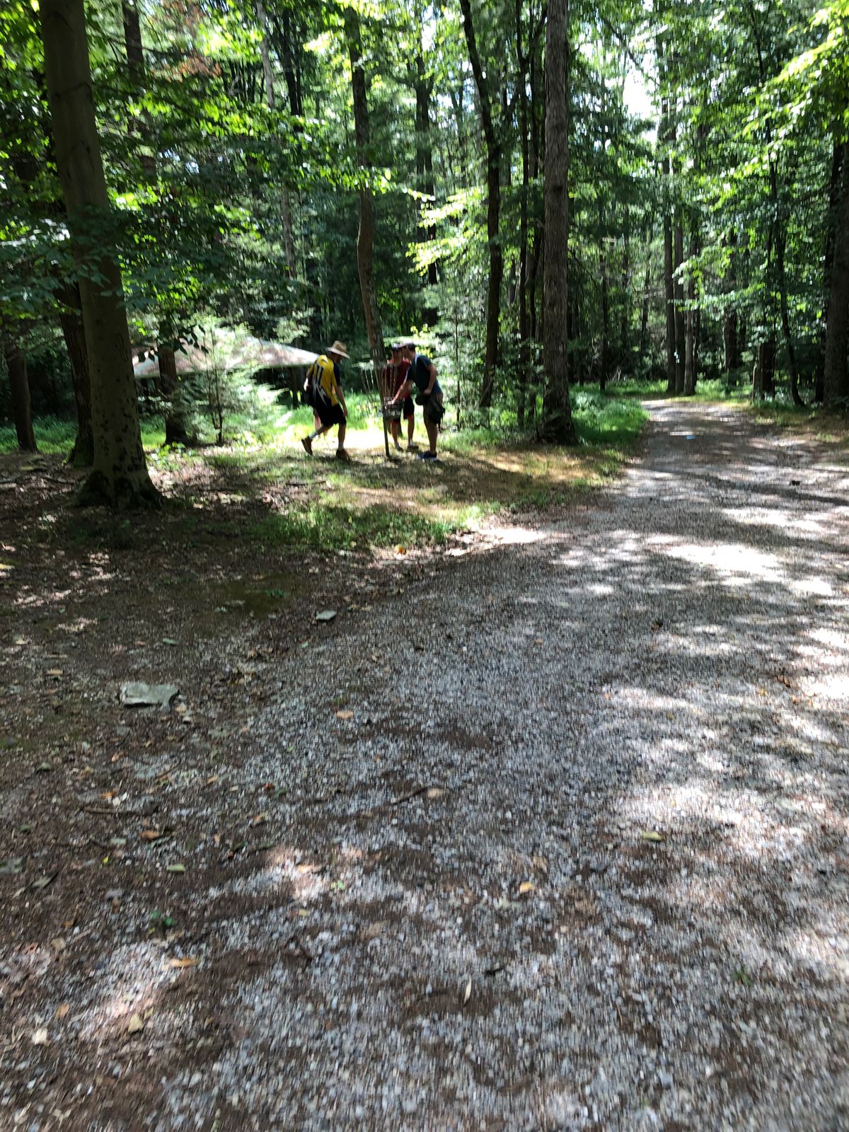 Hole 11