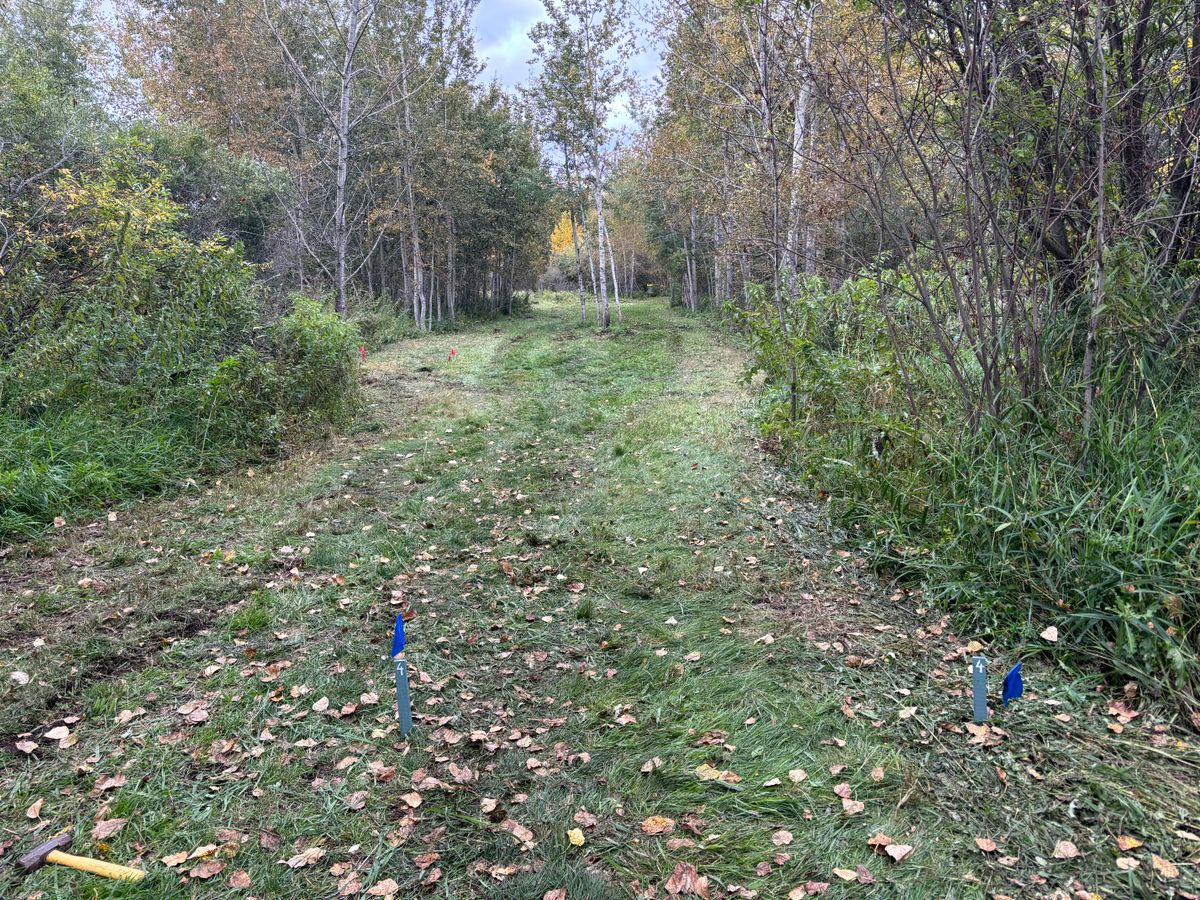Hole 4 Blues