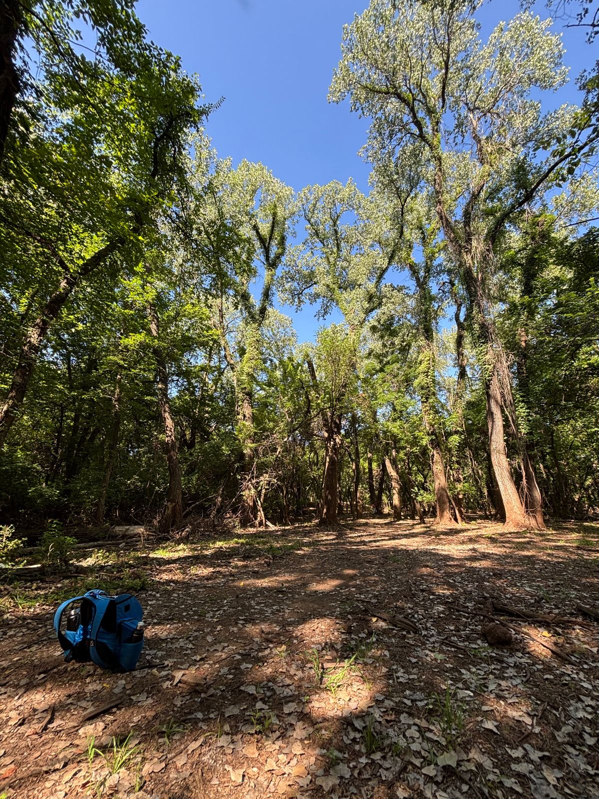 Looking down the fairway on 13