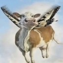 spdrmnky6