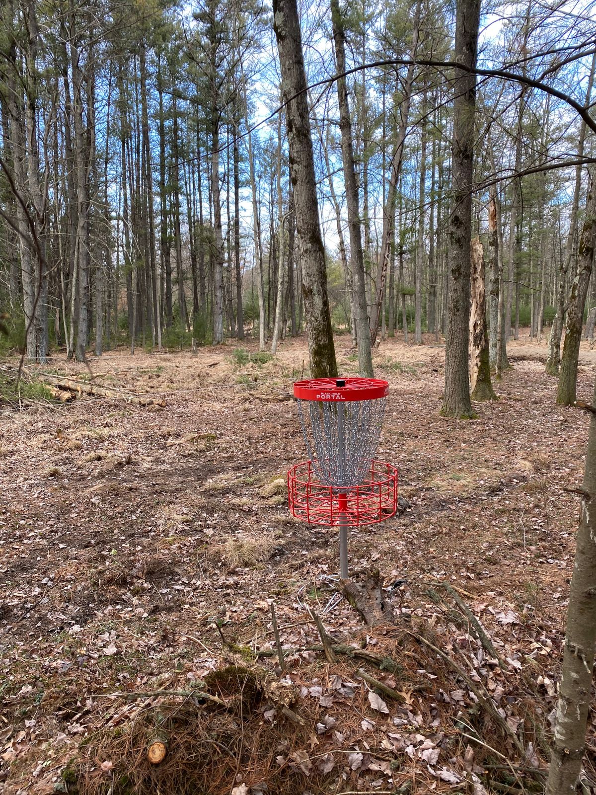 Hole 7 basket looking back at fairway
