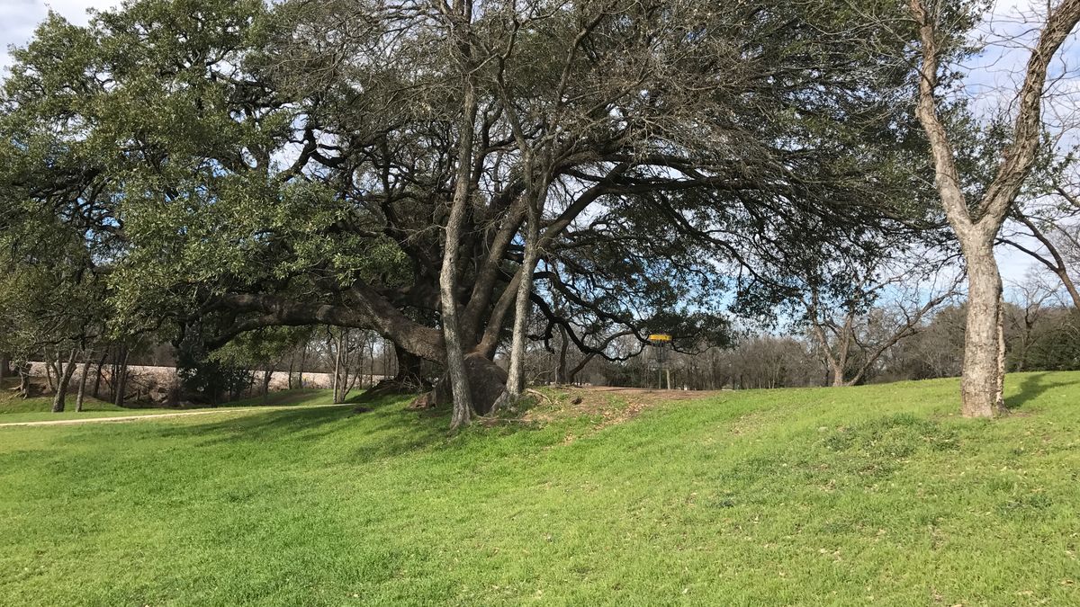 Hole 1