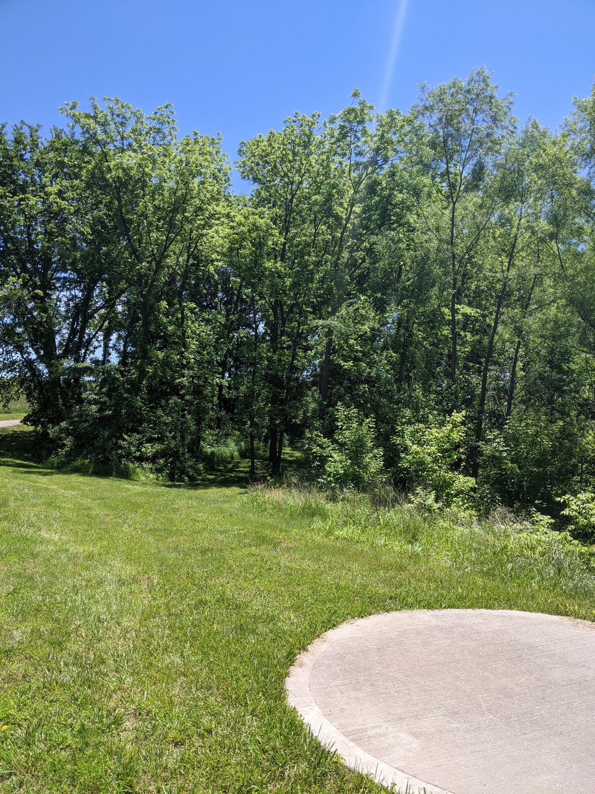 Tee 14