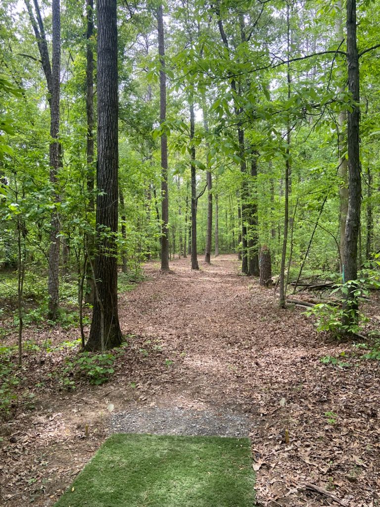 Hole 8 Teebox