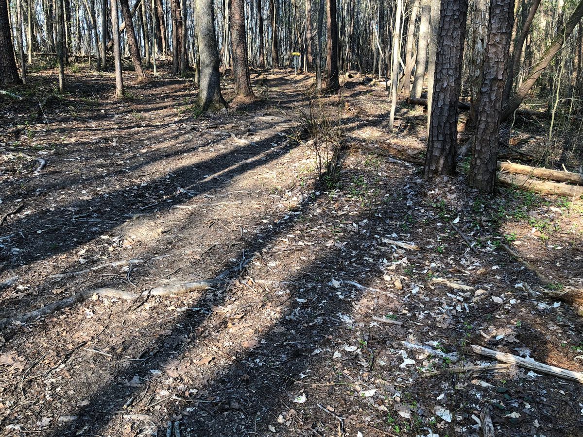 Cornelius Road Park