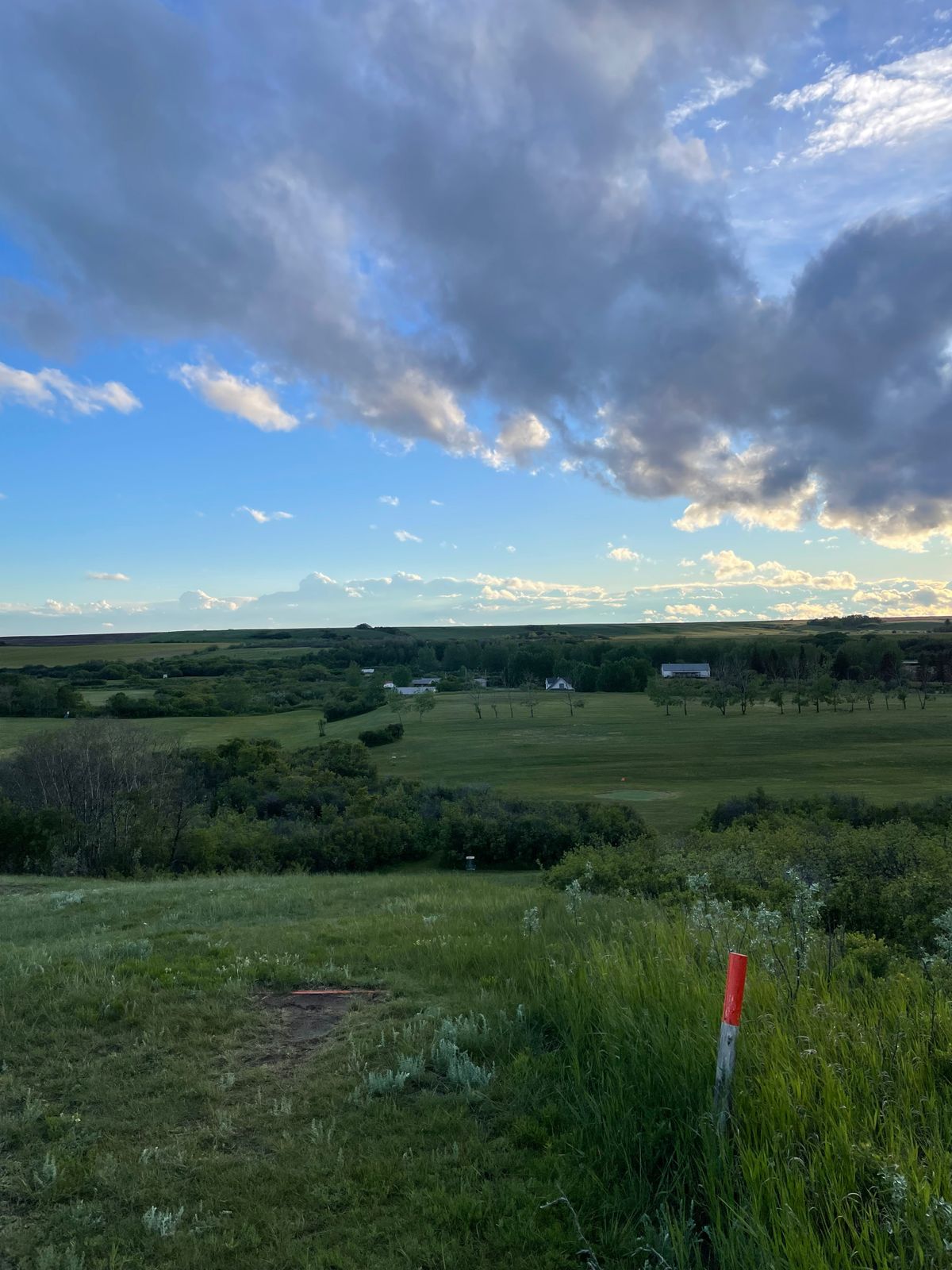 Hole 10, also basket 11 in the distance