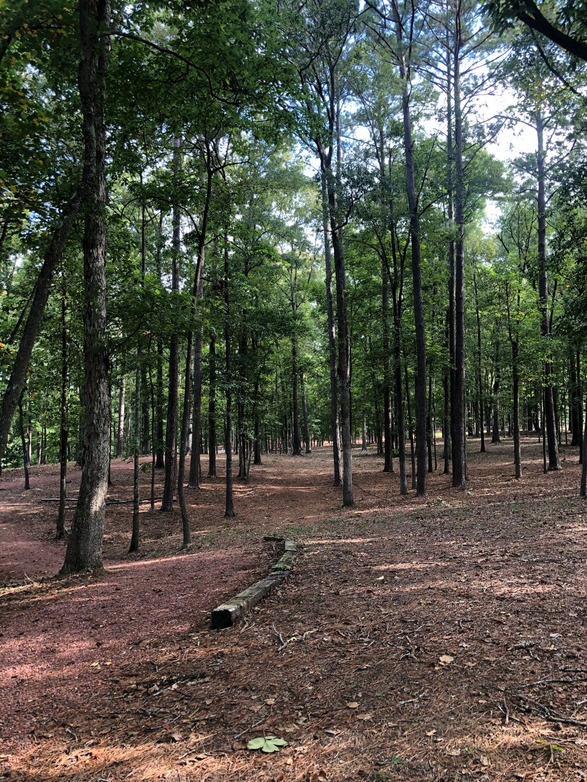 Hole 12
