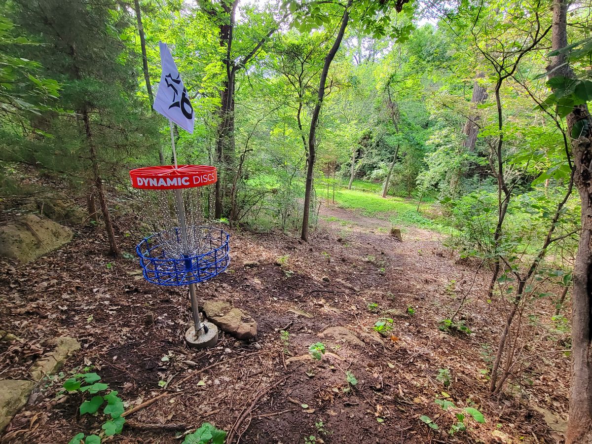 Hole 18: "Down and Out" Basket