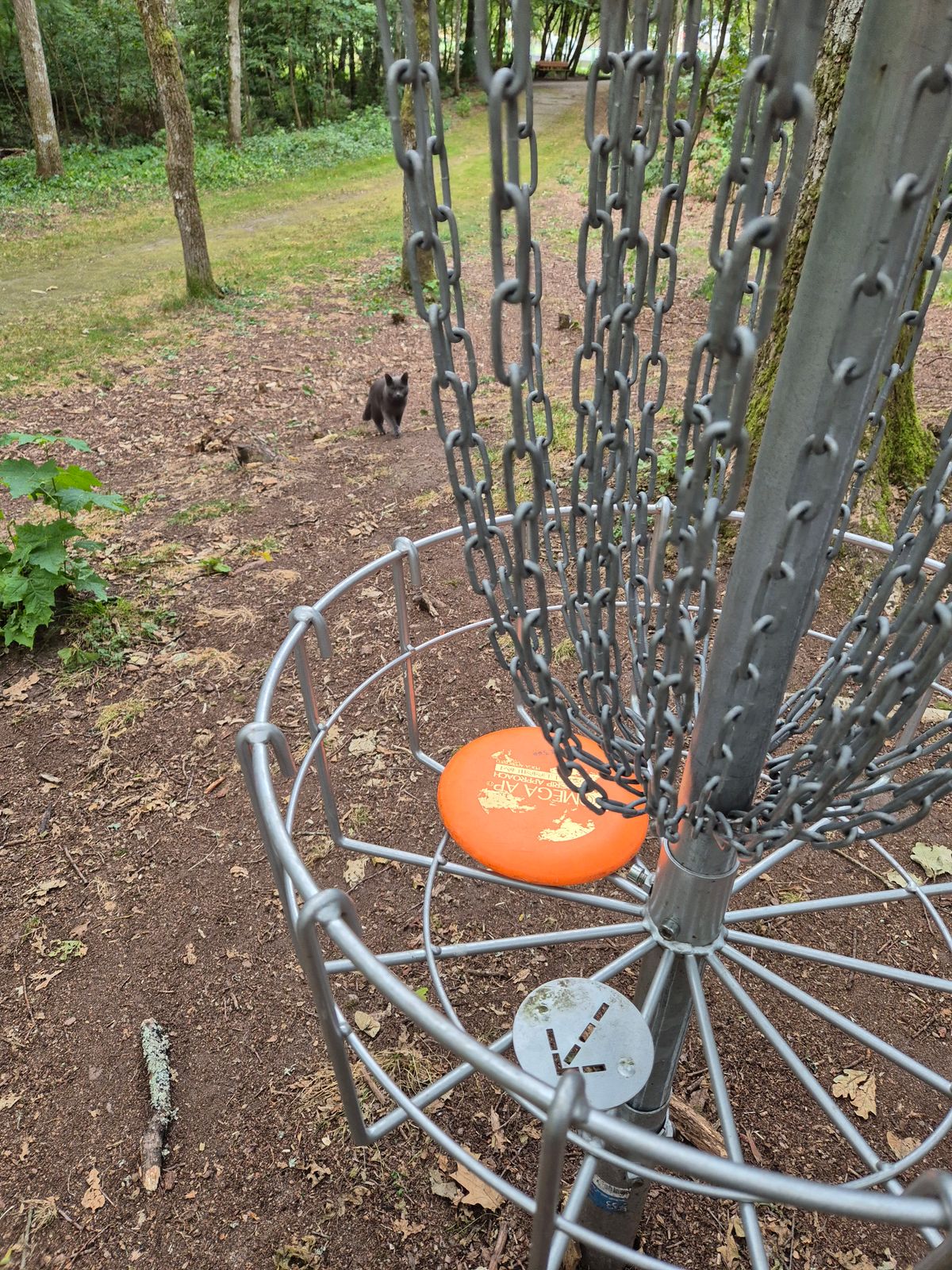 Fick sällskap. Nästan hela rundan!