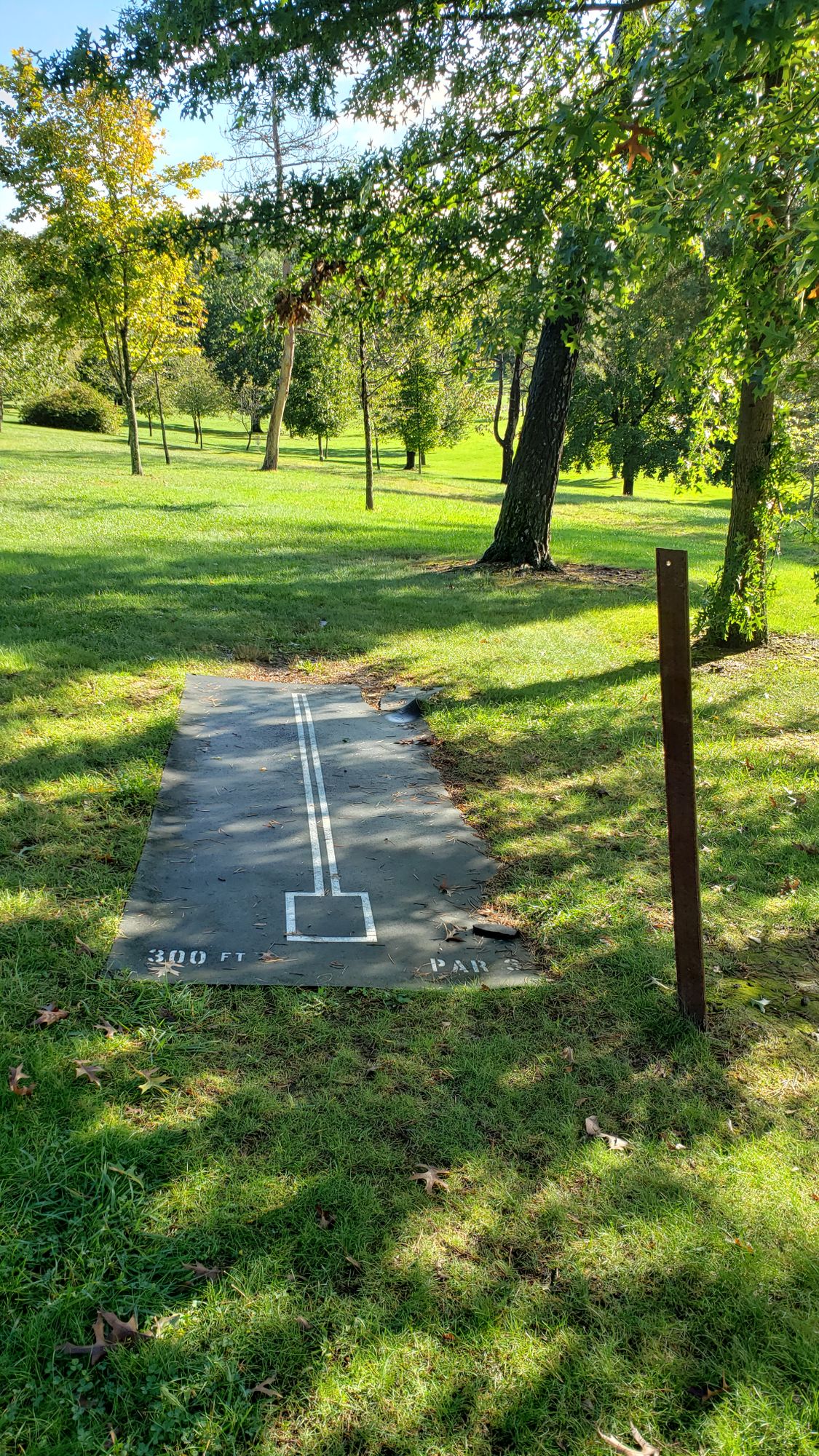 Hole 4 tee