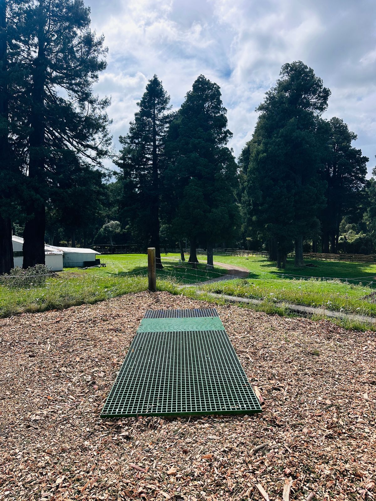 Disc Shop NZ Proto-Tee - Version 1 - More versions and info coming