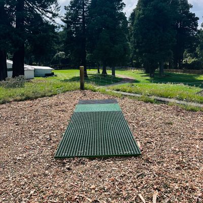 Disc Shop NZ Proto-Tee - Version 1 - More versions and info coming