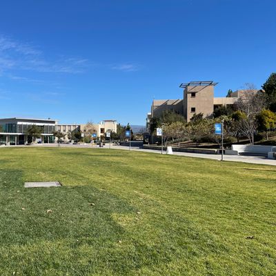 Hole 12, in the quad